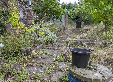 Garden Clearance Maidstone