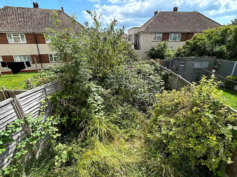 Garden Clearance Services In Maidstone